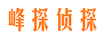 霞山市私家侦探